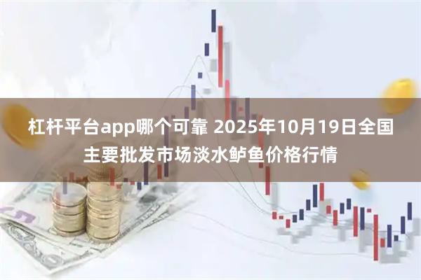 杠杆平台app哪个可靠 2025年10月19日全国主要批发市场淡水鲈鱼价格行情