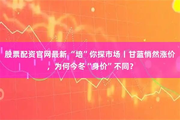 股票配资官网最新 “培”你探市场丨甘蓝悄然涨价，为何今冬“身价”不同？